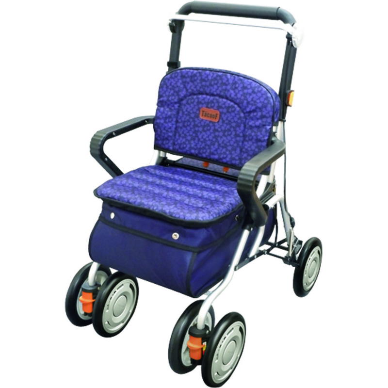 レコルティ プラムパープルST10