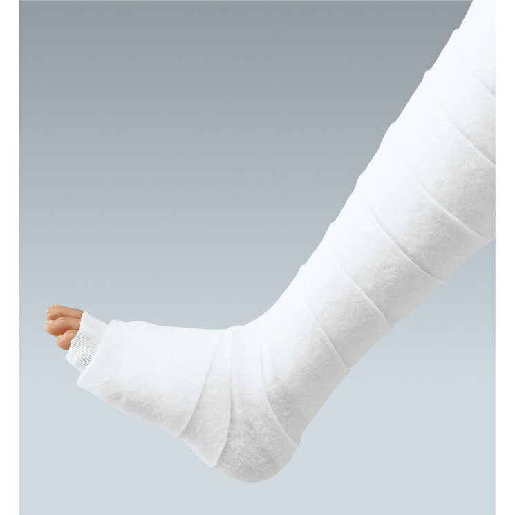 ���륽��åס�2��� 10211(12���󥤥�)