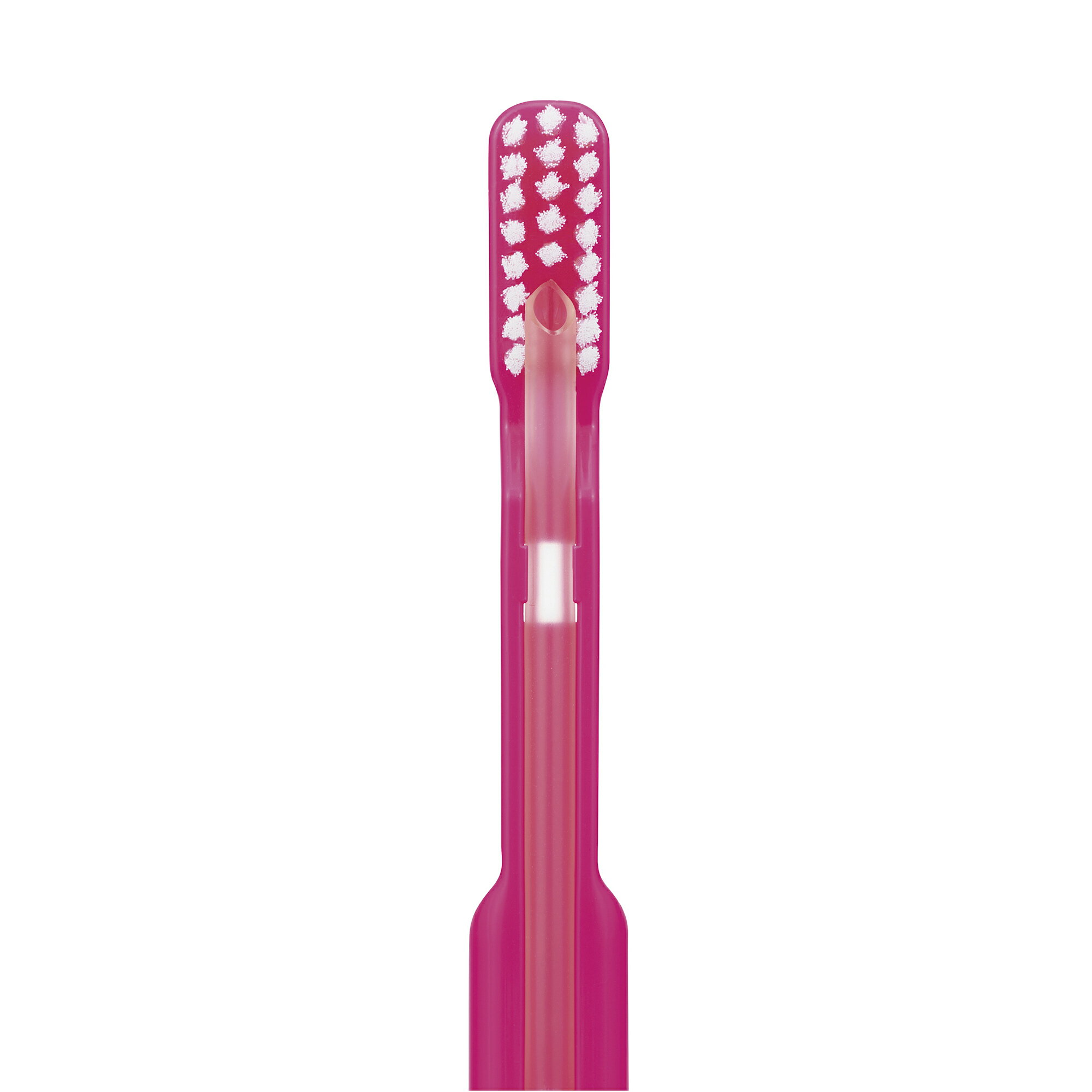 吸引ブラシ（チューブ付） 12イリ(ピンクX6・ブルーX6)