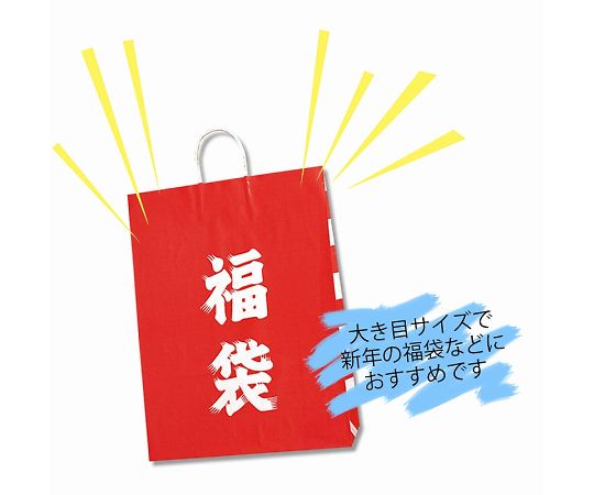 手提げ紙袋　25チャームバッグ　カスタム判　福袋　50枚　003280310 1パック(50枚入) 3