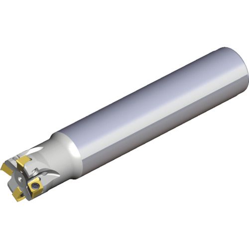 Rakuten - 【期間限定!対象商品P2〜20倍】 TEAGUTEC　ミーリングカッター　チェイス4ミル　1本 (4NTE901080804)