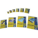 IRIS 539175 ラミネートフィルム A5サイズ 20枚入 100μ 1箱 (LZA520)