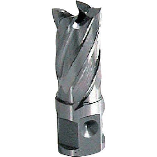 大見　25SQハイスカッター　12．0mm　1個 (HCSQ120)