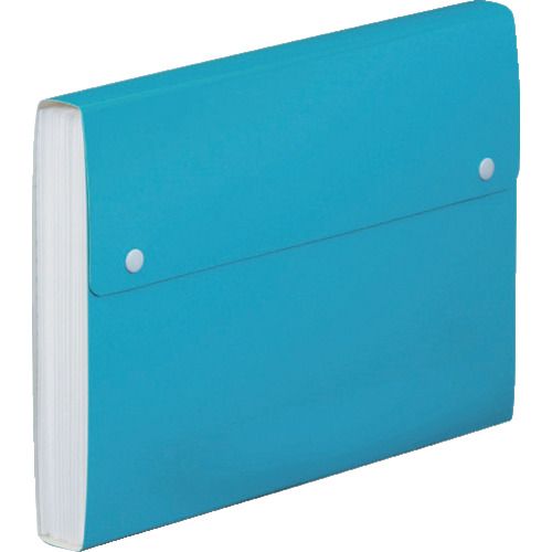 KING　JIM　Toffyドキュメントファイル　A4　青　13ポケット　1冊 (2273TFB)