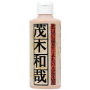 LEC 茂木和哉 1個 (C00181)