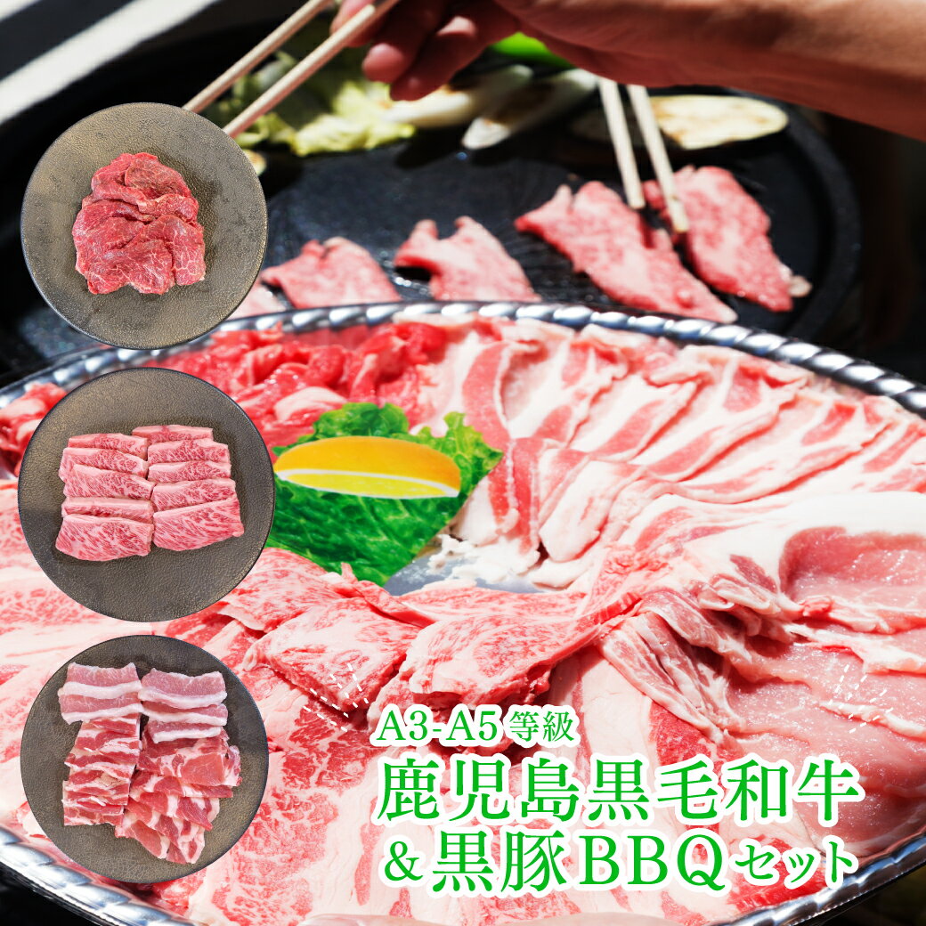 【送料無料】 BBQ 焼肉 焼肉セット焼き肉 花見 カルビ 黒毛和牛（牝牛）とかごしま黒豚焼肉セット 650g 牛肉 豚肉 取り寄せ ギフト 熨斗対応可 お祝い 肉 ギフト 内祝い BBQセット バーベキュー 豚バラ 和牛カルビ 焼肉用