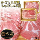 豚肉 沖縄 ロース 琉球ロイヤルポーク 960g ステーキ 冷凍 お肉 ギフト 肉 プレゼント 自宅用 グルメ 贈答 食品ギフト お歳暮 お中元 贈り物 内祝い 景品 賞品