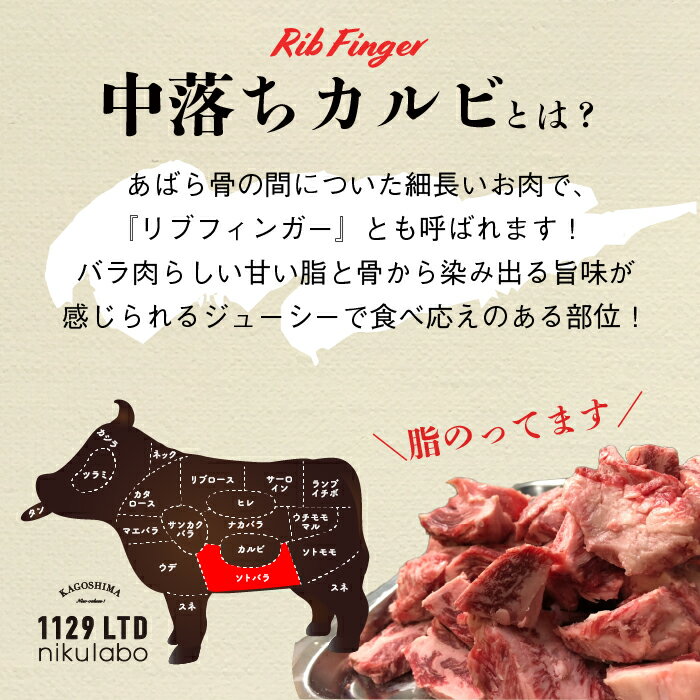 サンプル画像2
