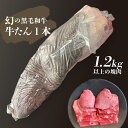 【送料無料】 牛たん 牛タン 黒毛和牛 1.2kg以上 塊肉 ブロック 牛肉 国産 焼肉 焼き肉 BBQ グランピング キャンプ 業務用 タンブロック 和牛タン かたまり肉