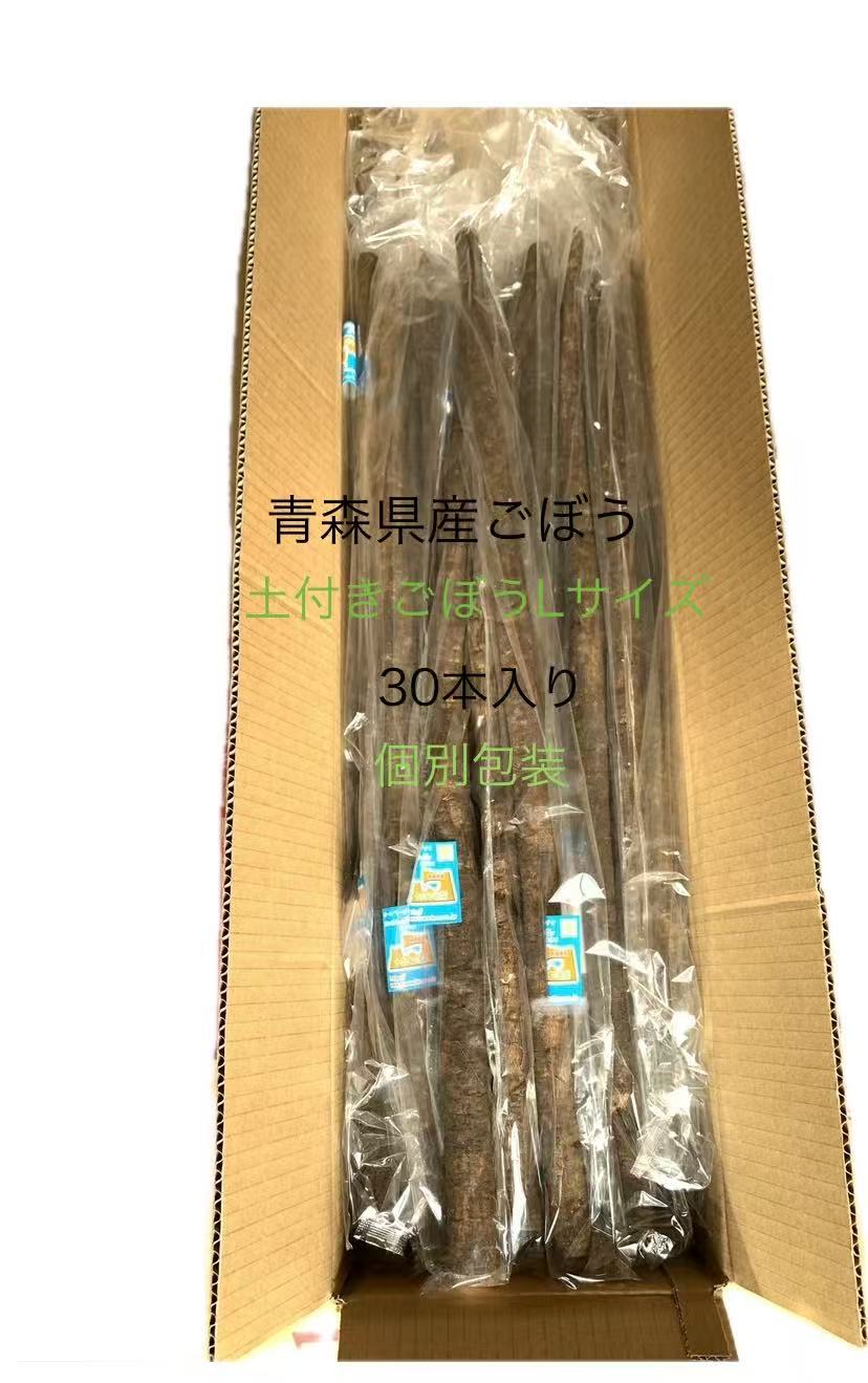 青森県産　土付きごぼう　Lサイズ　30袋　個別包装　ごぼう　常温発送