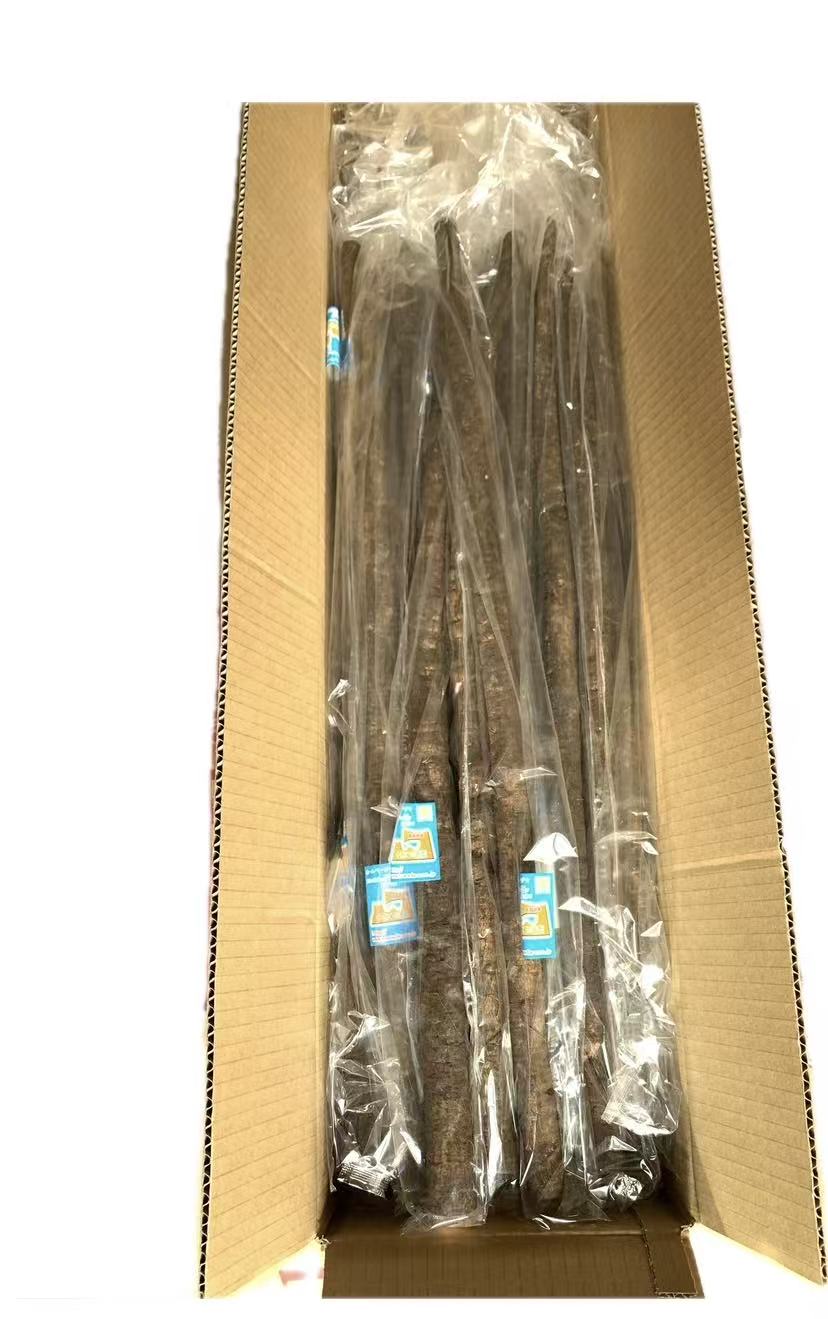 青森県産ごぼう　土付きごぼう　Lサイズ　10袋　個別包装　ごぼう　常温発送