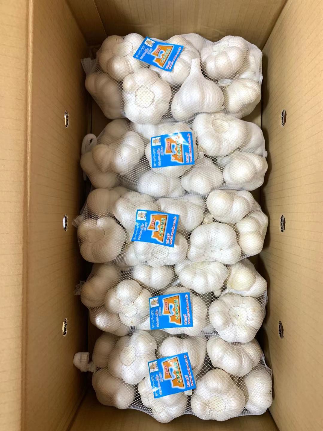 にんにく 訳ありにんにくLサイズ5kg B品 青森県産にんにく 「ホワイト六片にんにく」 国産にんにく