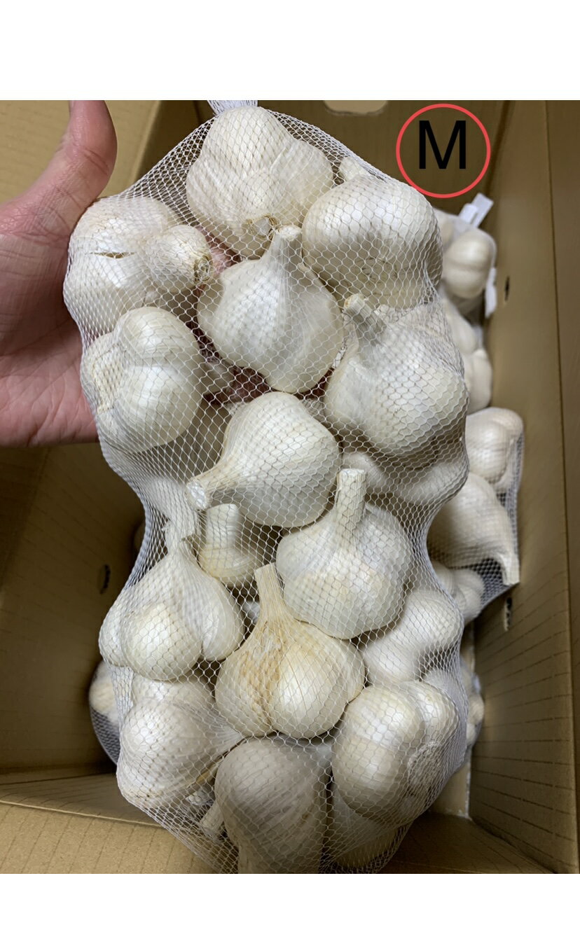 2025年産　青森にんにく　業務用にんにくMサイズ3kg　並級C品　青森県産「ホワイト六片種にんにく」　国産にんにく　青森　ニンニク　家庭用　訳あり　大蒜 2