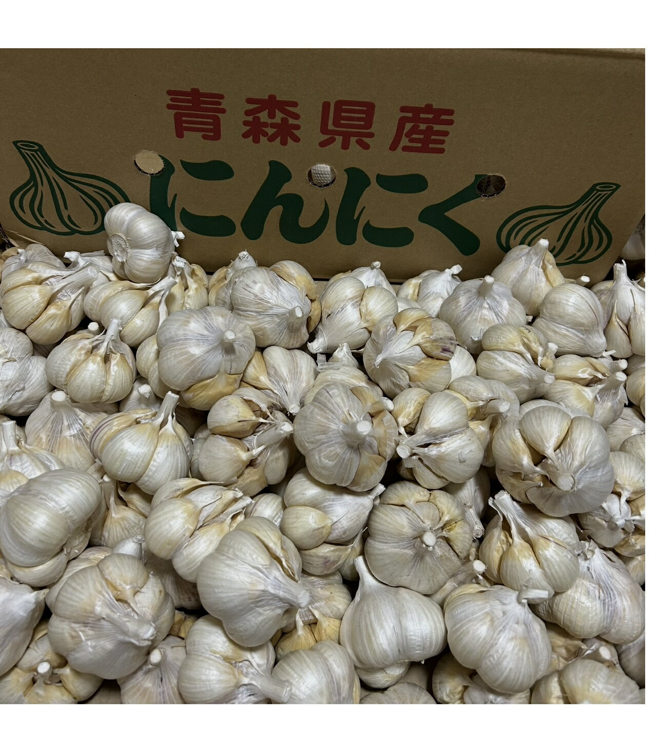 2025年産　青森にんにく　訳ありにんにく1kg 　Mサイズ　C品　ホワイト六片種にん...