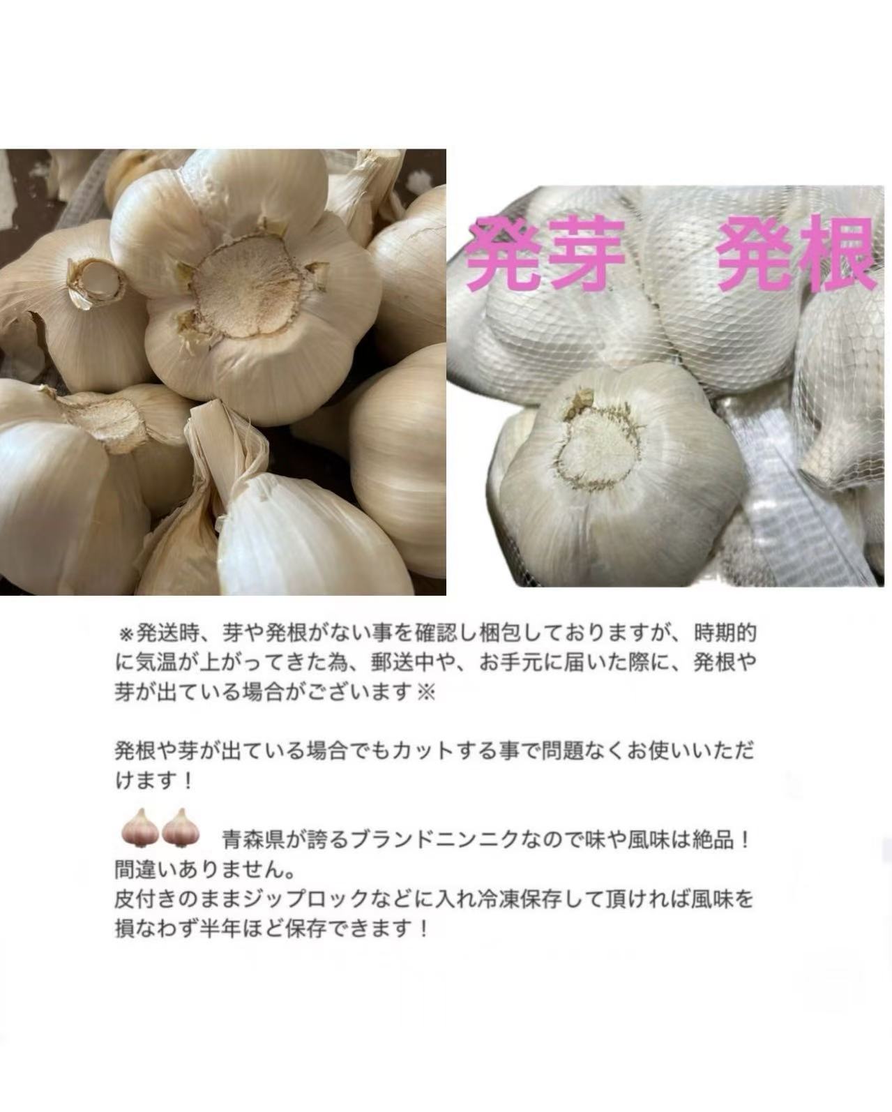 2025年産　青森にんにく　訳ありにんにくMサイズ5kg　C品「ホワイト六片種にんにく」国産にんにく 2