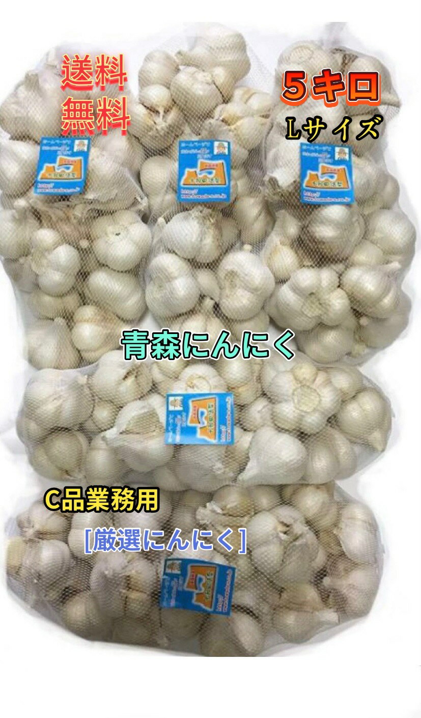 にんにく　青森 ニンニク　業務用にんにくLサイズ 5kg　「ホワイト六片にんにく」国産 にんにく