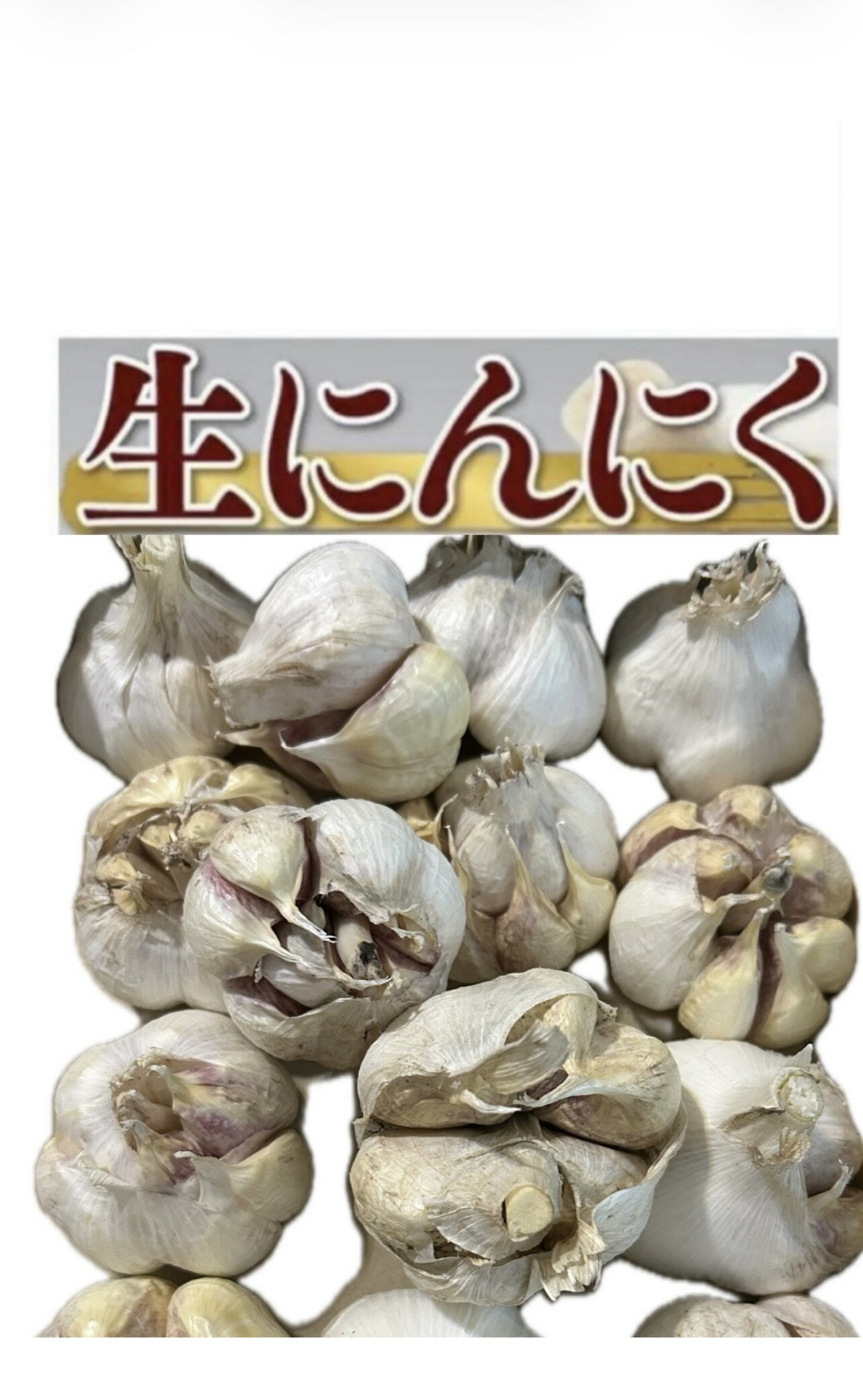 2026年新物にんにく　生にんにく2kg　Lサイズ　新鮮にんにく　数量限定　並級C品　訳ありにんにく　青森県産　「福地ホワイト六片種にんにく」　　国産にんにく　青森にんにく valuef-10000441 東北のうまいものはこれで決まり パッケージ画像