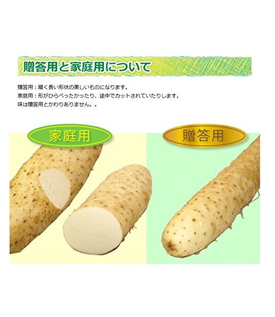 �Ŀ�������Ĺ�򡡤Ȥ����� ������ 10kg�������ꡡ�����Ѥߡ������������ꡡ����Ĺ��