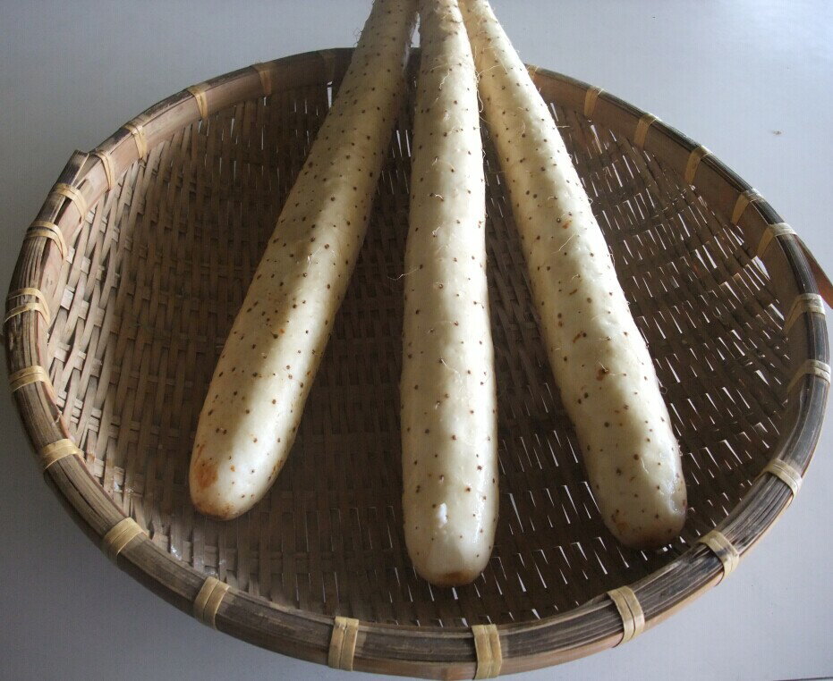 �Ŀ����� Ĺ�򡡤Ȥ�����£���� 5kg�����Ѥߡ������������ꡡ����ľ���Τ��ᡢ�������Բ�