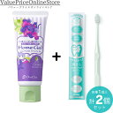 【対象商品ポイント20倍&最大1000円offクーポン有】オーラルケア ホームジェル65g う蝕予防ジェル グレ-プ×1本 +ORALEGIT (オーラルギット) Natural Fit歯周ケア専門 歯ブラシ 国内製造 (1本/ミントグリーン)