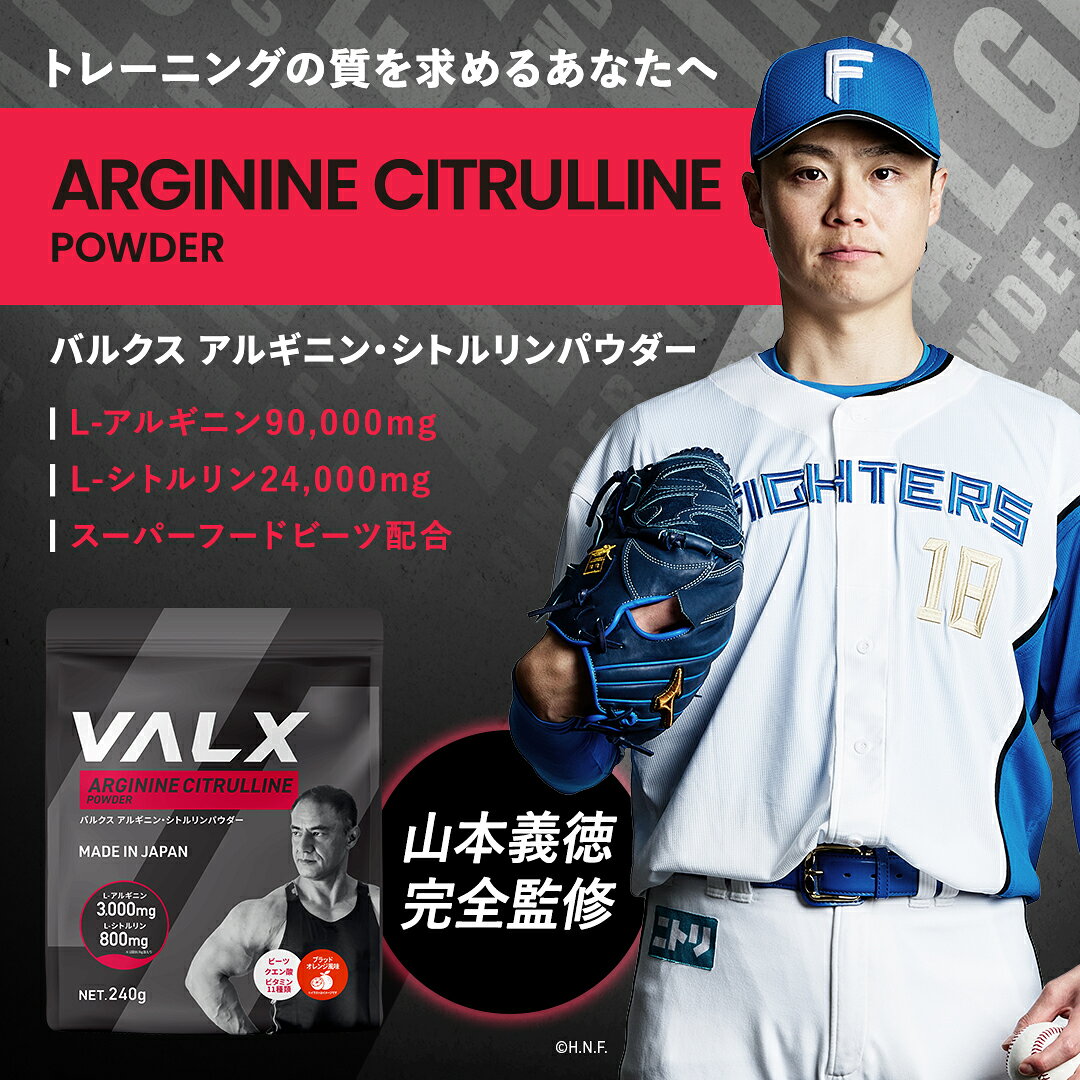 【送料無料 7/30 00:00-8/1 23:59】[LINE登録で1,000円OFF] VALX アルギニン・シトルリンパウダー 240g アセロラ風味 アルギニン シトルリン 山本義徳 国内生産 パウダー 筋トレ プレワークアウト クエン酸 男性 女性 L-アルギニン90,000mg配合 valx-10000067 VALX ONLINE STORE サンプル画像3