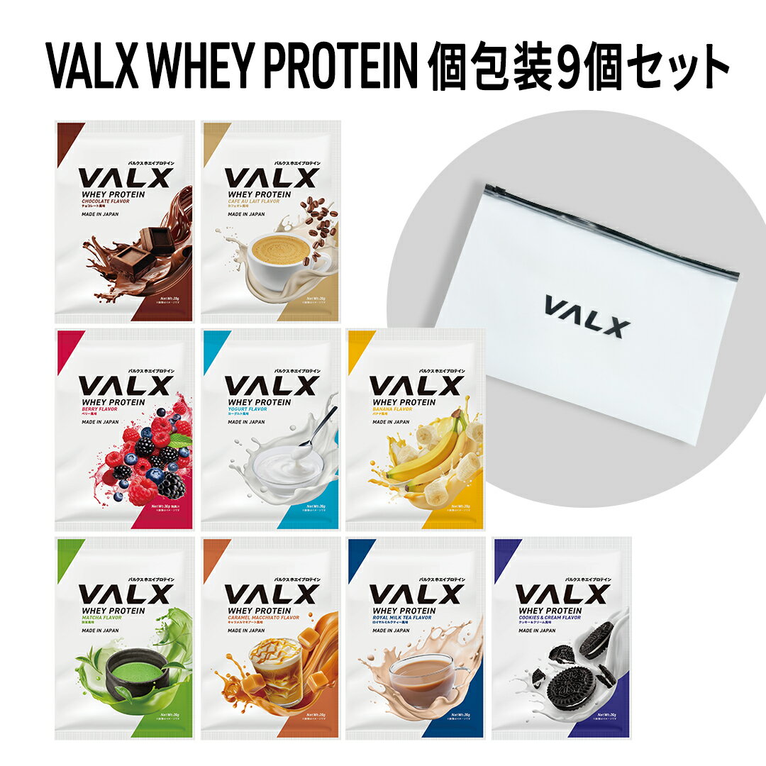 VALX ホエイプロテイン コンプリートセット お試し 個包装 バナナ キャラメルマキアート ヨーグルト カ..