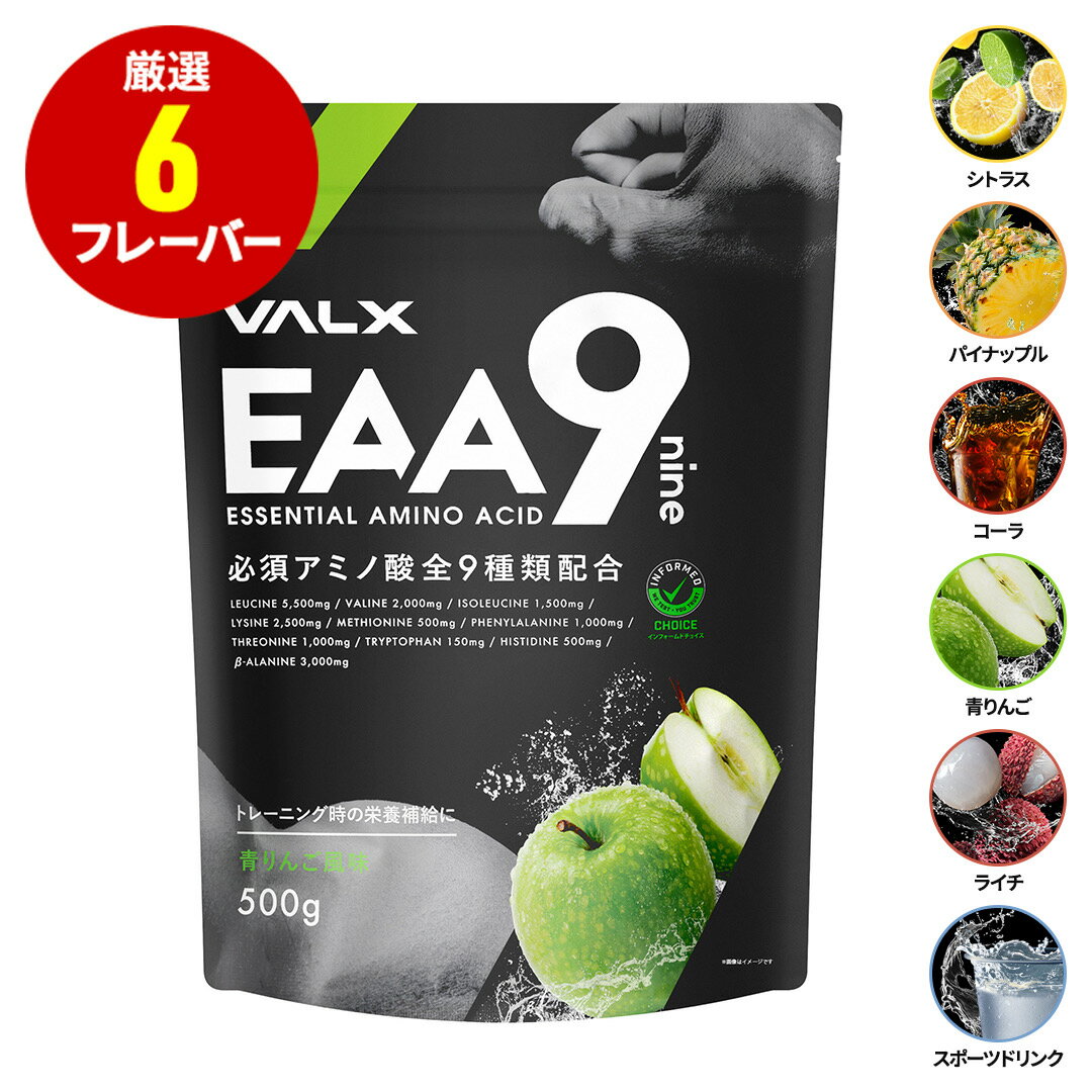 VALX EAA9 山本義徳 500g ベータアラニ