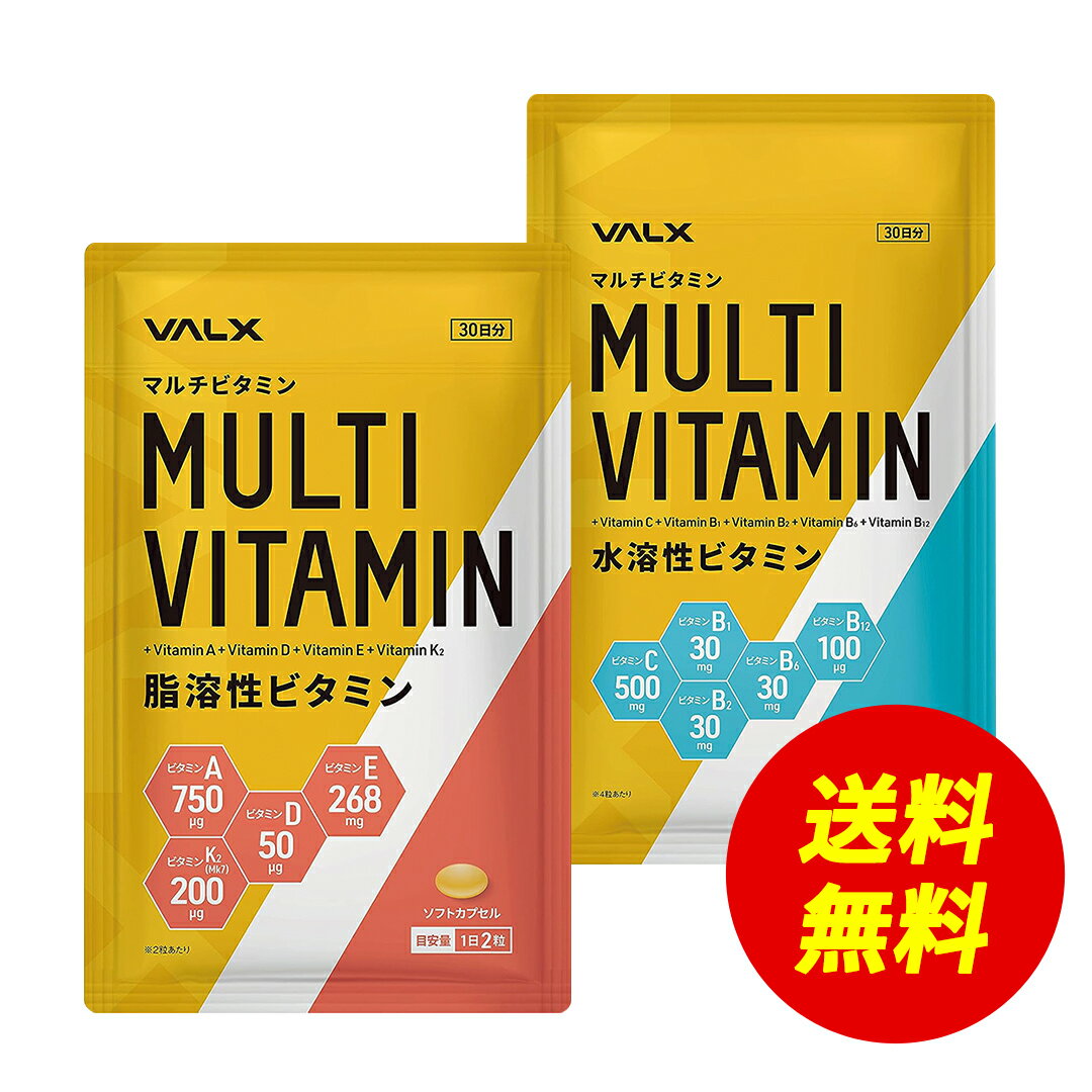 【期間限定 送料無料】【VALX マルチビタミン水溶性ビタミン＆脂溶性ビタミンセット】 ビタミンA 