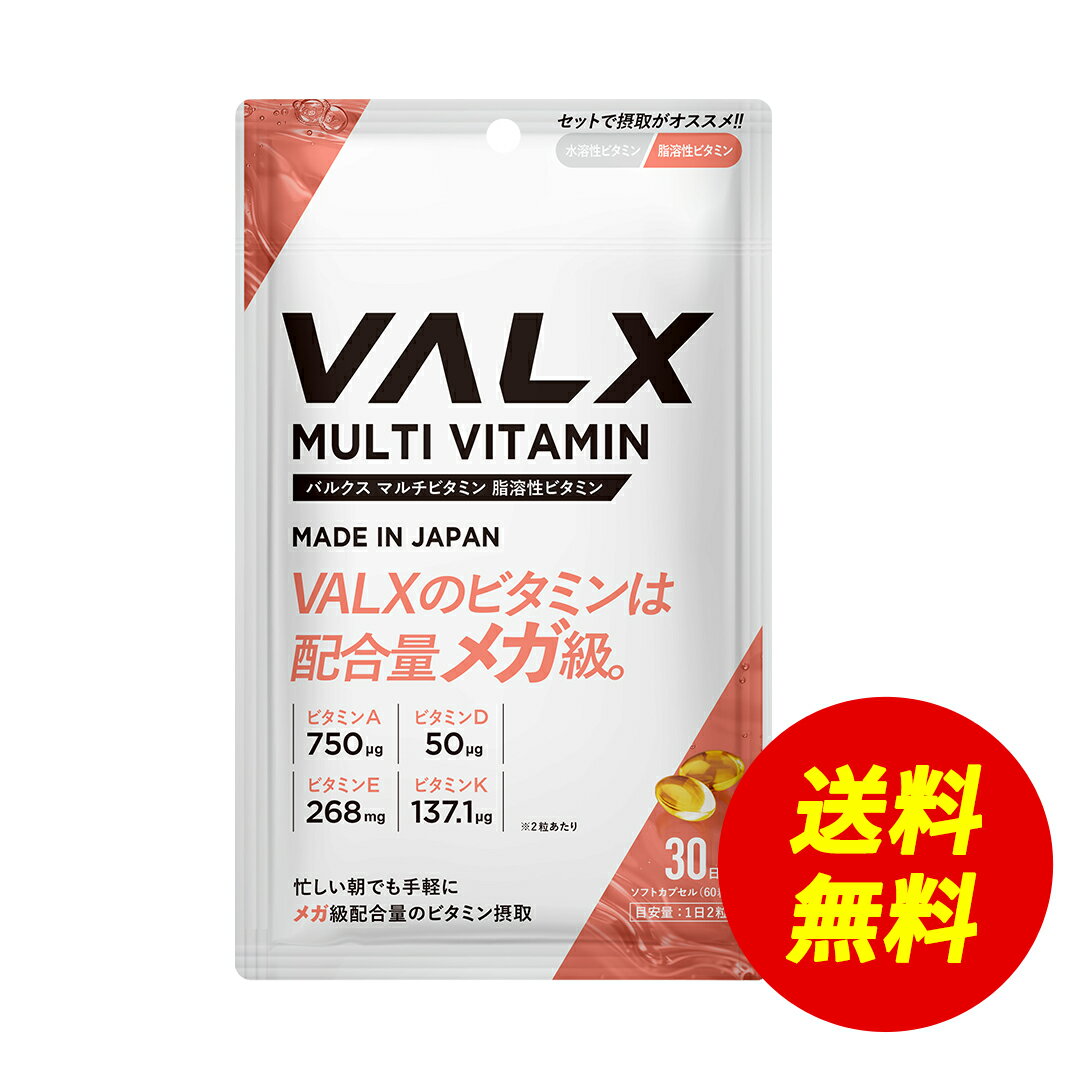 【〜3/2 12:00 期間限定 送料無料】[期間限定 LINE登録で1,000円OFF] VALX マルチビタミン【脂溶性ビタミン】山本義徳 サプリ サプリメント ビタミン ビタミンA 750μg ビタミンD 50μg ビタミンE 268mg ビタミンK 200μg配合 バルクス