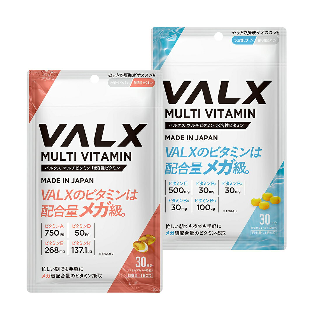 [期間限定 LINE登録で1,000円OFF] 【VALX マルチビタミン水溶性ビタミン＆脂溶性ビタミンセット】 ビタミンA ビタミンD ビタミンE ビタミンK ビタミンC ビタミンB1 ビタミンB2 ビタミンB6 ビタミンB12 サプリ サプリメント バルクス