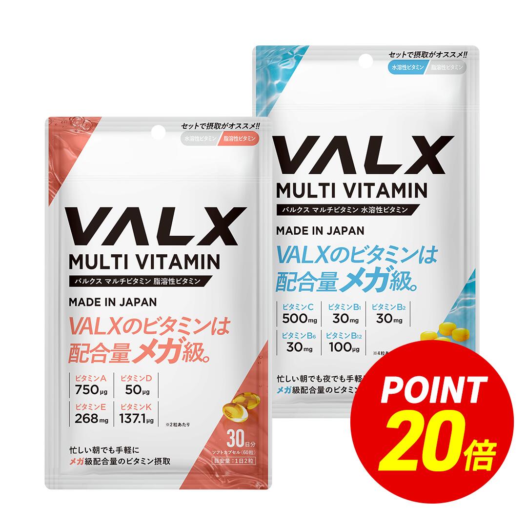 【ポイント20倍＆送料無料 8/15 00:00-8/21 9:59】[LINE登録で1,000円OFF] 【VALX マルチビタミン水溶性ビタミン＆脂…
