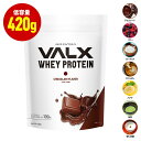 VALX ホエイプロテイン 低容量 420g チョコレート ベリー ヨーグルト カフェオレ バナナ 抹茶 杏仁豆腐 国内生産 WPC 山本義徳 筋トレ ダイエット 女性 美容