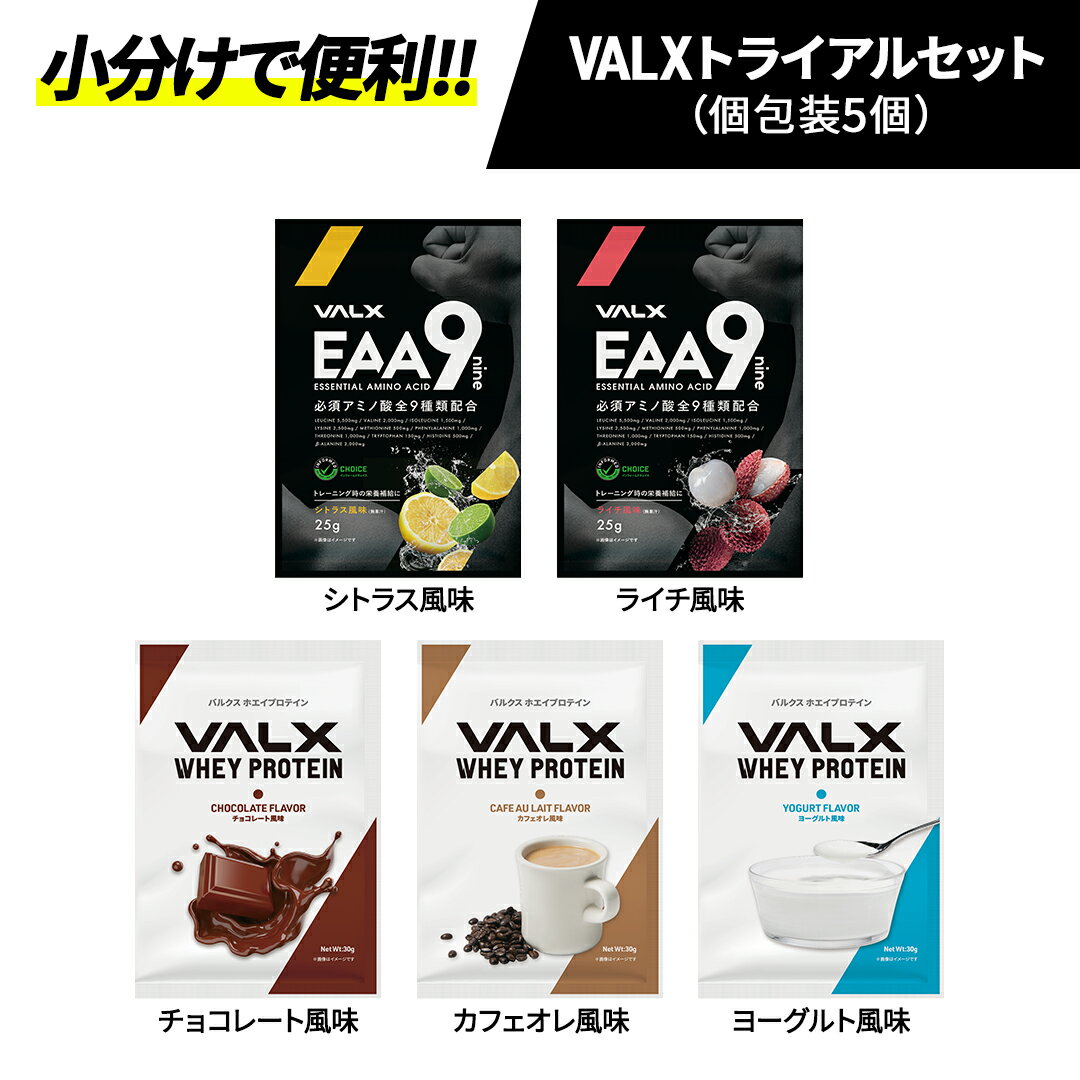 VALX トライアルセット WPC プロテイン EAA お試し 個包装 チョコ ヨーグルト カフェオレ シトラス風味 ライチ風味 山本義徳 筋トレ タンパク質 男性 女性 安い コスパ チョコ valx公式のサムネイル