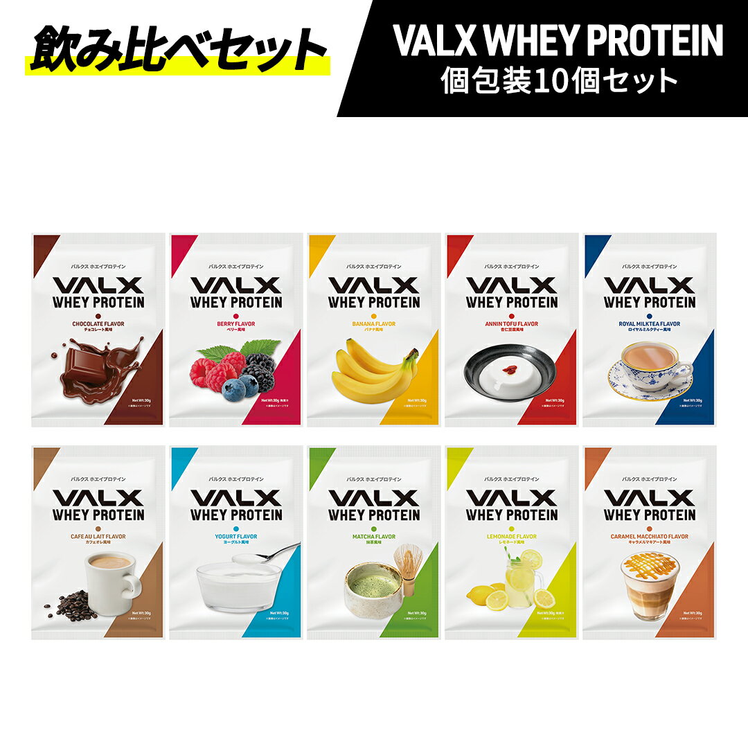 VALX ホエイプロテイン コンプリートセット お試し 個包装 バナナ キャラメルマキアート ヨーグルト カフェオレ 抹茶 杏仁豆腐 ロイヤルミルクティー チョコレート ベリー バナナ バルクス WPC 山本義徳 筋トレ タンパク質 男性 女性 安い コスパ チョコ valx公式のサムネイル
