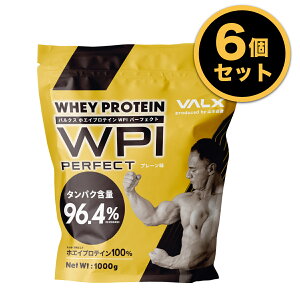 プロテイン 山本義徳【お得な6個セット】バルクス WPI タンパク質高配合 VALX ホエイ 1kg アイソレート チョコレート ストロベリー ライチヨーグルト バナナ 抹茶 プレーン 筋トレ ダイエット タンパク質 男性 女性 福袋 コスパ 安い valx公式