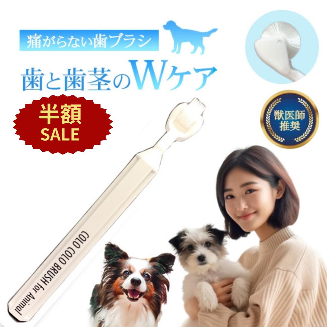 ȾSALE+P5ܡ 59%SALE  ǭ ֥饷 ֥饷 ðդ  λ᤭ λ֥饷 360 ư  ...