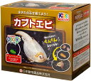 カブトエビ飼育セット【トリオプス伝説】