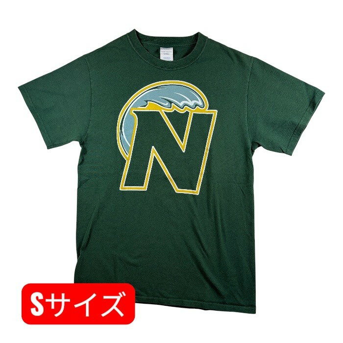 古着 アメカジ ヴィンテージ グリーン Sサイズ ミネソタ ノーススターズ ロゴ ランクB 半袖 Tシャツ ホンジュラス製 コットン100％ アメリカ USA 一点物 希少 ラスト1点 格安 海外 輸入 古着屋 プリント バックプリント カレッジ 小さいサイズ
