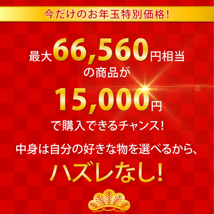 福袋 2024【総額 66,560円が15,0...の紹介画像2