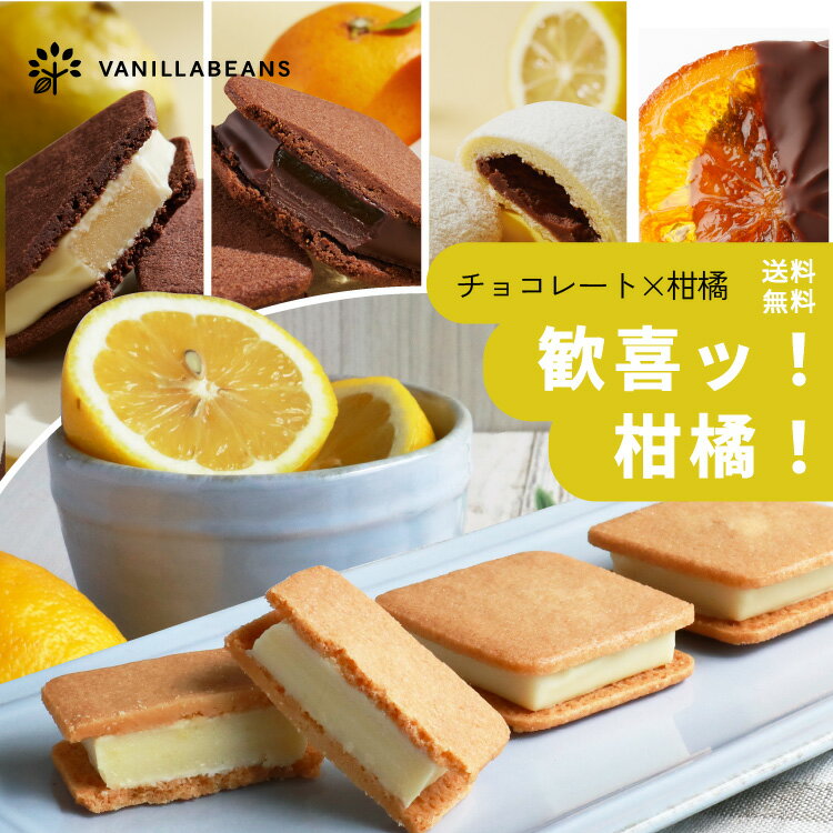 歓喜ッ！柑橘！(送料無料)[11/27-12/6着迄] 生チョコレート ショーコラ オランジュ マルシトロンのサムネイル