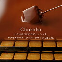 ショーコラ＆パリトロ8個入(送料込) バレンタイン 2022 チョコレート