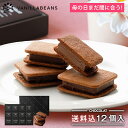 ショーコラ12個入(送料込) バニラビーンズ ショーコラ ギフト プレゼント チョコレート サンド チョコ お菓子 スイーツ クッキー 個包装 詰め合わせ おし...