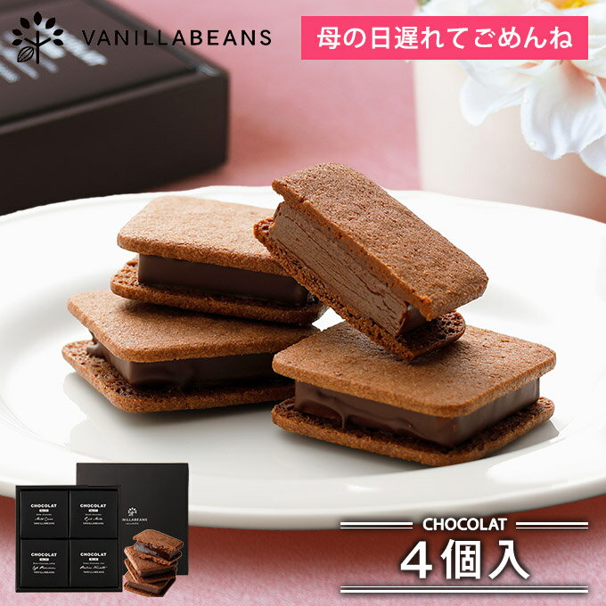 【健康フーズ】　DANDY CACAO・ダンディココア チョコレート　80g×10個セット【10個買うと1個おまけ付・計11個】（冬季限定品）【沖縄・別送料】【05P03Dec16】