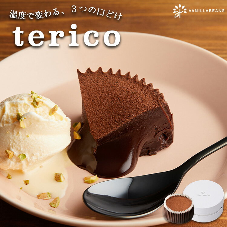 チョコレートケーキ オリジナルテリーヌショコラ terico