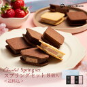 チョコレートデザイン株式会社 ショーコラ スプリングセット 8個入