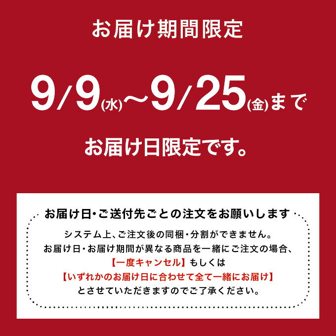 【送料無料】ショーコラづくし福袋[9/9-9/25着迄] チョコレート 横浜 バニラビーンズ | チョコサンド チョコ クッキー 洋菓子 お菓子 高級 おしゃれ 福袋 個包装 詰め合わせ お取り寄せ スイーツ 誕生日 祝い お礼 プレゼント 手土産 パーティー vanilla-10003812 横浜チョコレートのバニラビーンズ サンプル画像3