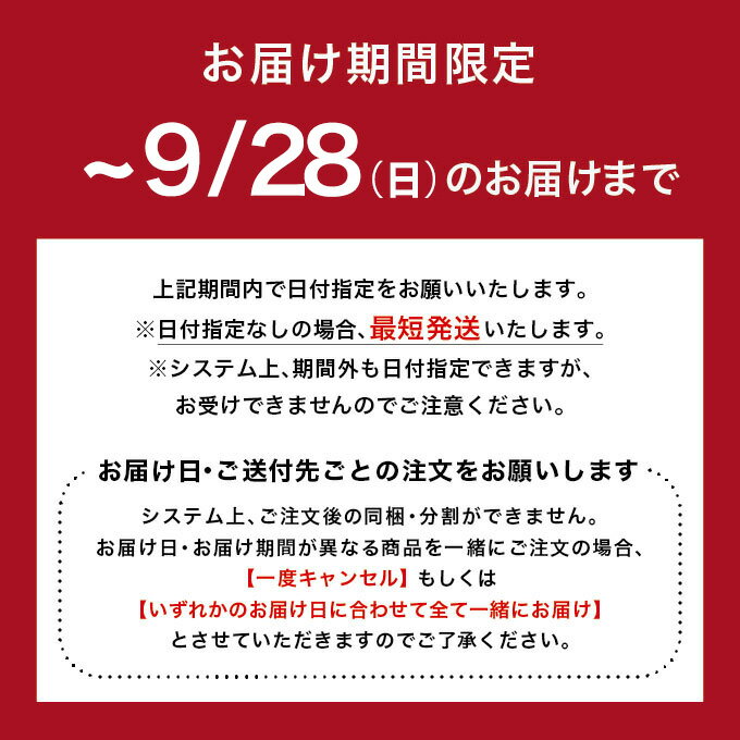 VANILLABEANS THE ICE 12個入(送料無料)[9/28着迄] チョコレート 横浜 バニラビーンズ | クラフトアイス アイス スイーツ 高級 アイスクリームギフト ギフト おしゃれ 詰め合わせ お取り寄せ プレゼント