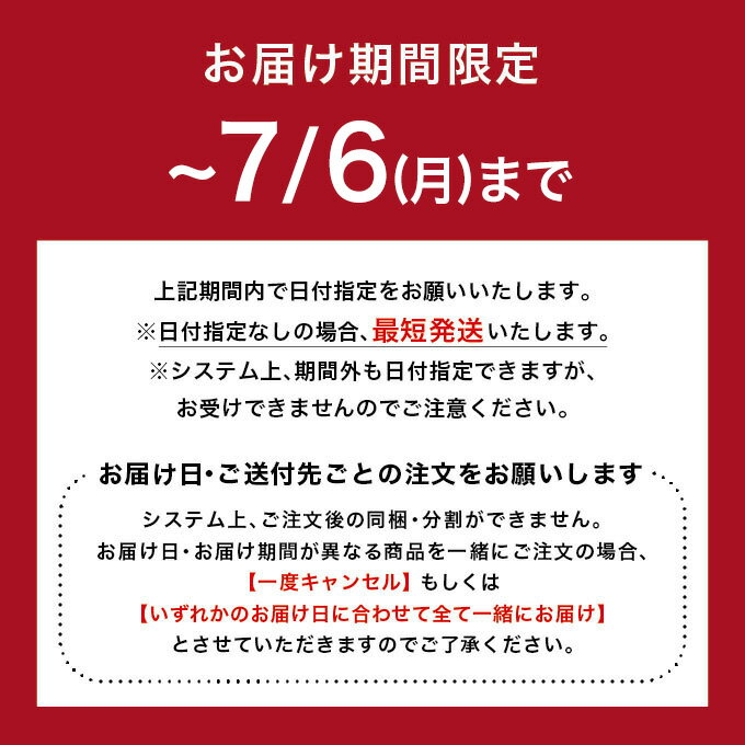 カカオニブ [7/6着迄] 2026 チョコレート ポップコーン 横浜 バニラビーンズ ヒルバレー コラボ チョコ カカオ カカオ豆 カカオニブ ギフト おしゃれ 洋菓子 高級 2