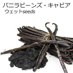 【 春のお菓子作り応援! ポイント3倍!! 】マダガスカル産 バニラビーンズ 【5g】 キャビア オーガニックECOCERT A グレード グルメ ブラック 旧フランス領 現フランス領規格 パティシエ用 粉砕 ブルボン エッセンス業務用バニラ ギフト