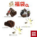 ポイントUP!豪華5種セット 福袋 バニラビーンズ【各100g】 バニラパウダー【15g】 バニラエキストラクト【100ml】バニラビーンズペースト【100g】...